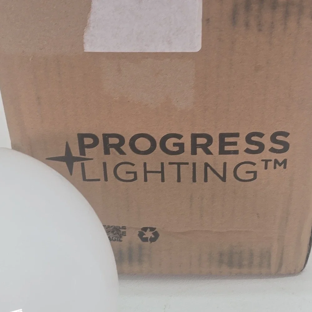 Progress Lighting P3605-30 White 1-Light Flush Mount with White Glass